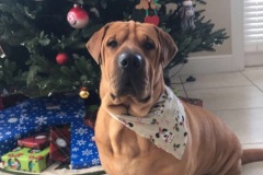 Frank