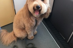 charlie